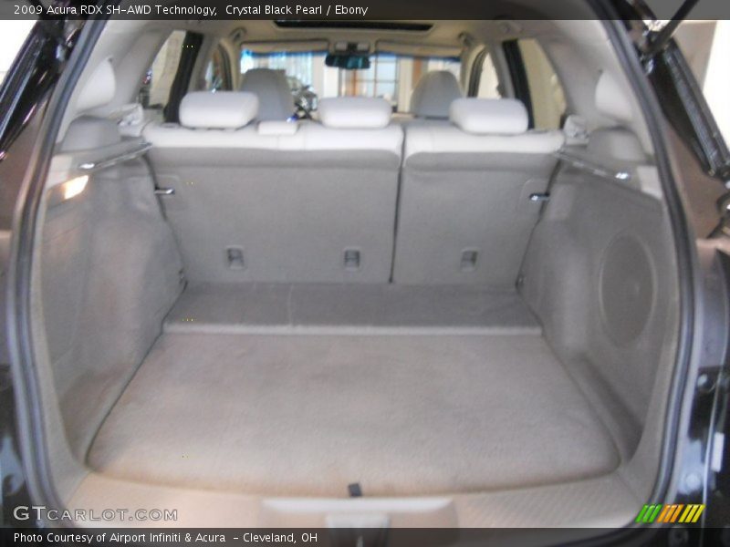 Crystal Black Pearl / Ebony 2009 Acura RDX SH-AWD Technology