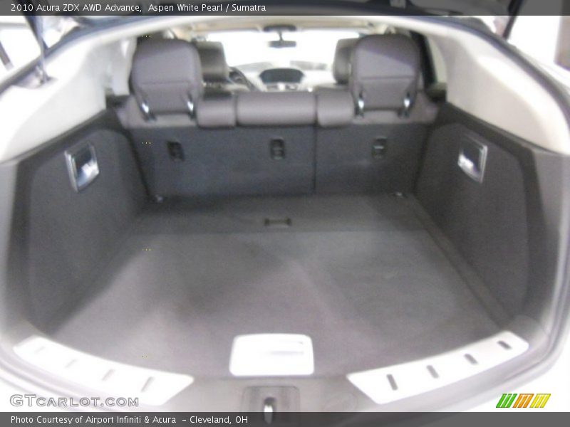 Aspen White Pearl / Sumatra 2010 Acura ZDX AWD Advance