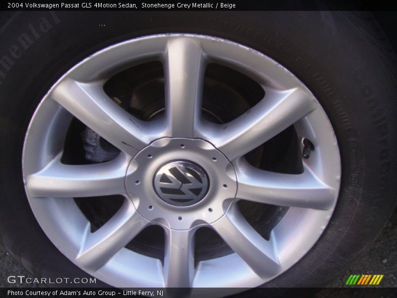 Stonehenge Grey Metallic / Beige 2004 Volkswagen Passat GLS 4Motion Sedan