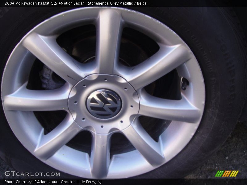 Stonehenge Grey Metallic / Beige 2004 Volkswagen Passat GLS 4Motion Sedan