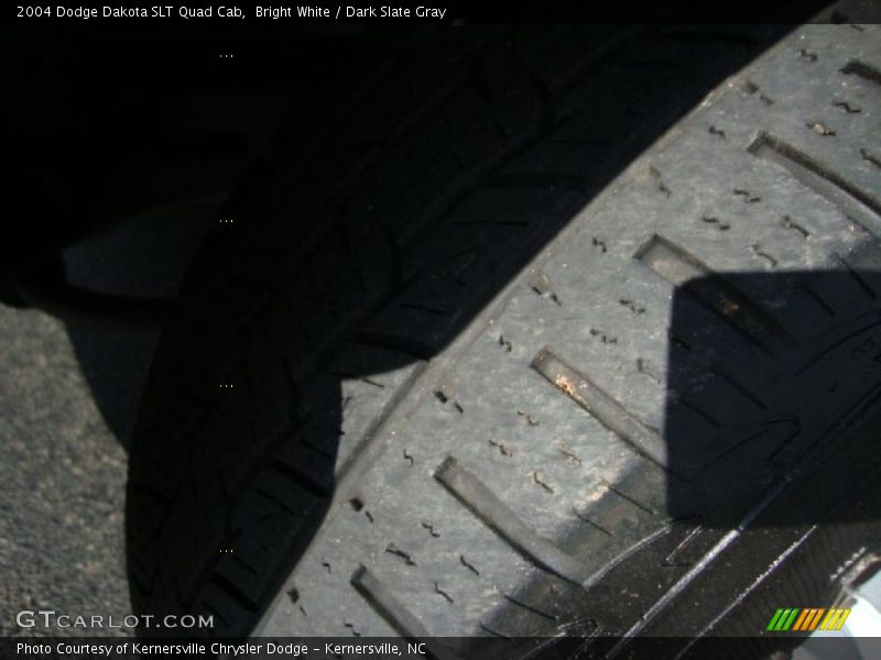 Bright White / Dark Slate Gray 2004 Dodge Dakota SLT Quad Cab