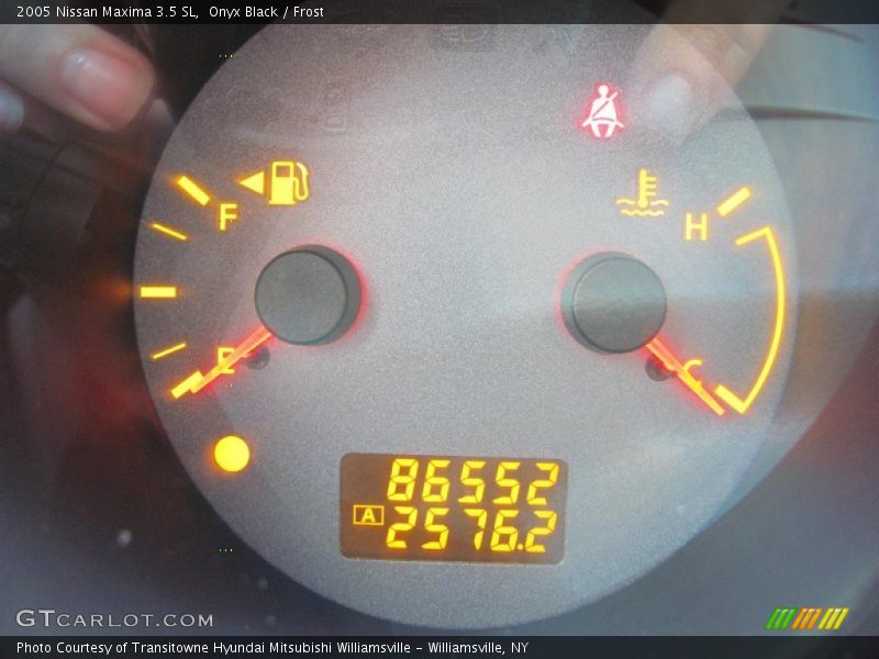 Onyx Black / Frost 2005 Nissan Maxima 3.5 SL