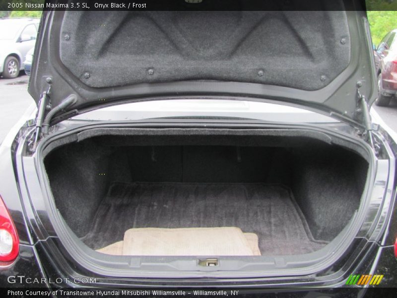 Onyx Black / Frost 2005 Nissan Maxima 3.5 SL