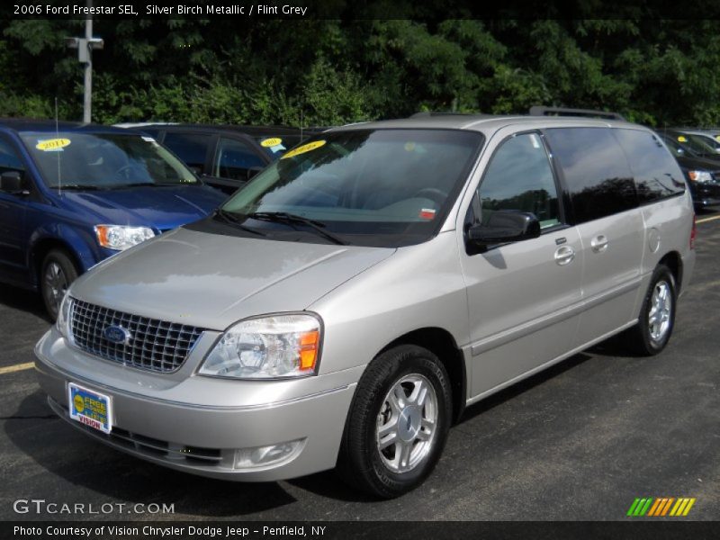 Silver Birch Metallic / Flint Grey 2006 Ford Freestar SEL