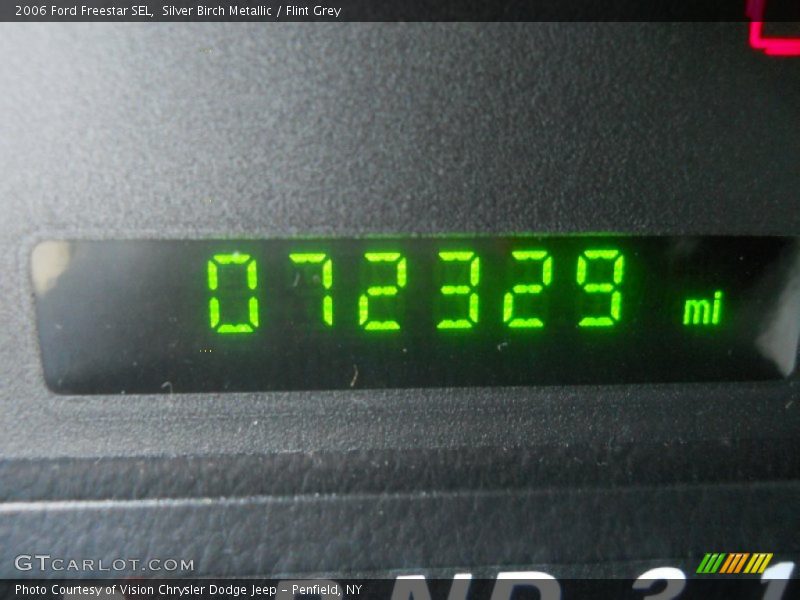 Silver Birch Metallic / Flint Grey 2006 Ford Freestar SEL