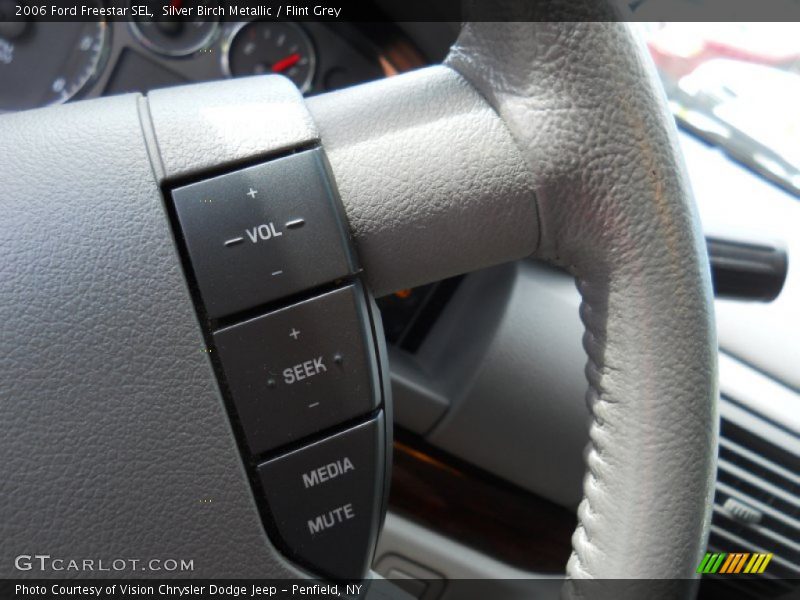 Silver Birch Metallic / Flint Grey 2006 Ford Freestar SEL
