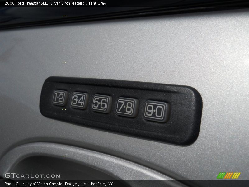 Silver Birch Metallic / Flint Grey 2006 Ford Freestar SEL