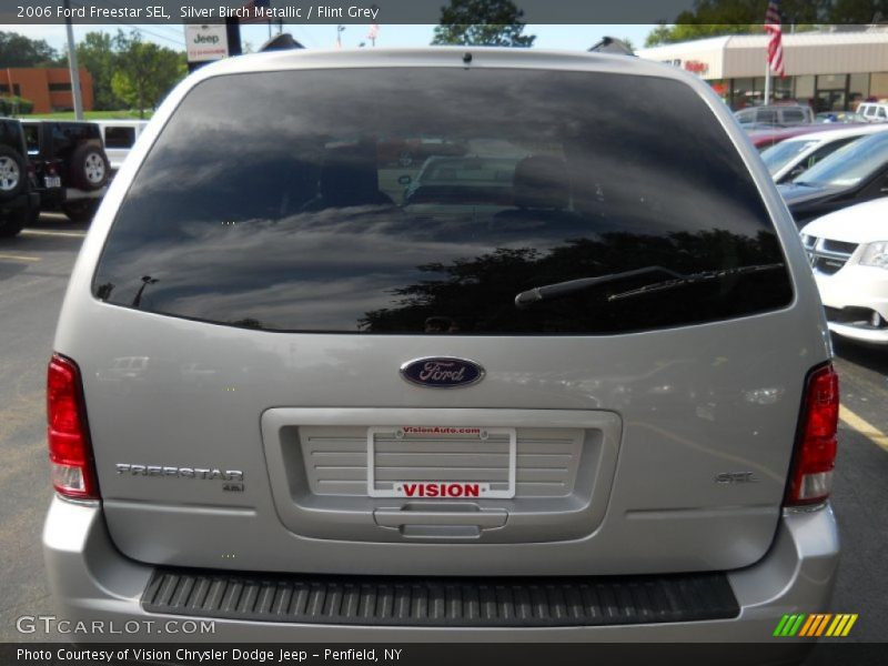 Silver Birch Metallic / Flint Grey 2006 Ford Freestar SEL