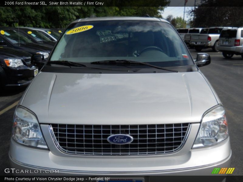 Silver Birch Metallic / Flint Grey 2006 Ford Freestar SEL