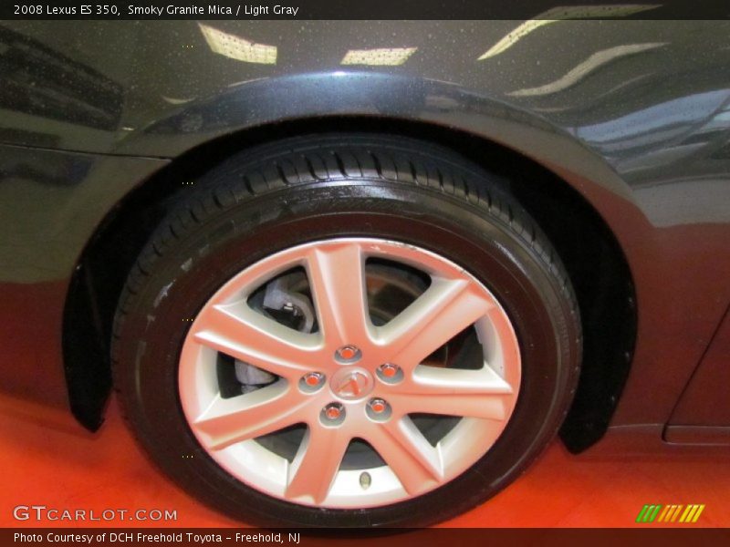 Smoky Granite Mica / Light Gray 2008 Lexus ES 350