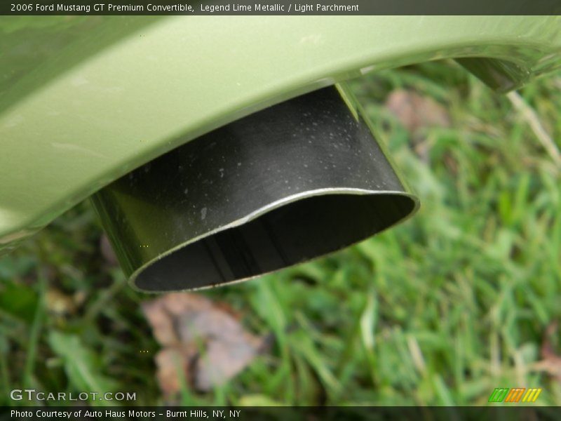 Legend Lime Metallic / Light Parchment 2006 Ford Mustang GT Premium Convertible