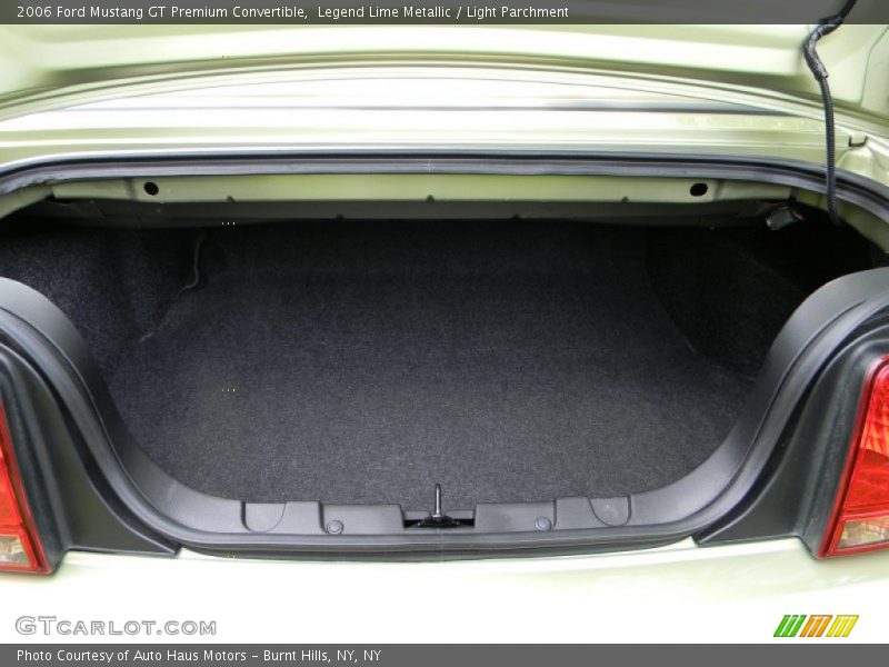 Legend Lime Metallic / Light Parchment 2006 Ford Mustang GT Premium Convertible