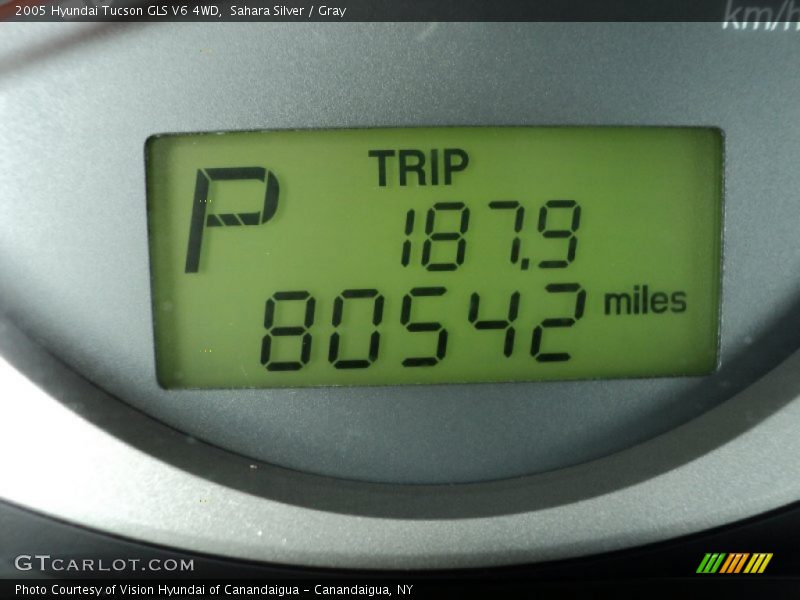 Sahara Silver / Gray 2005 Hyundai Tucson GLS V6 4WD