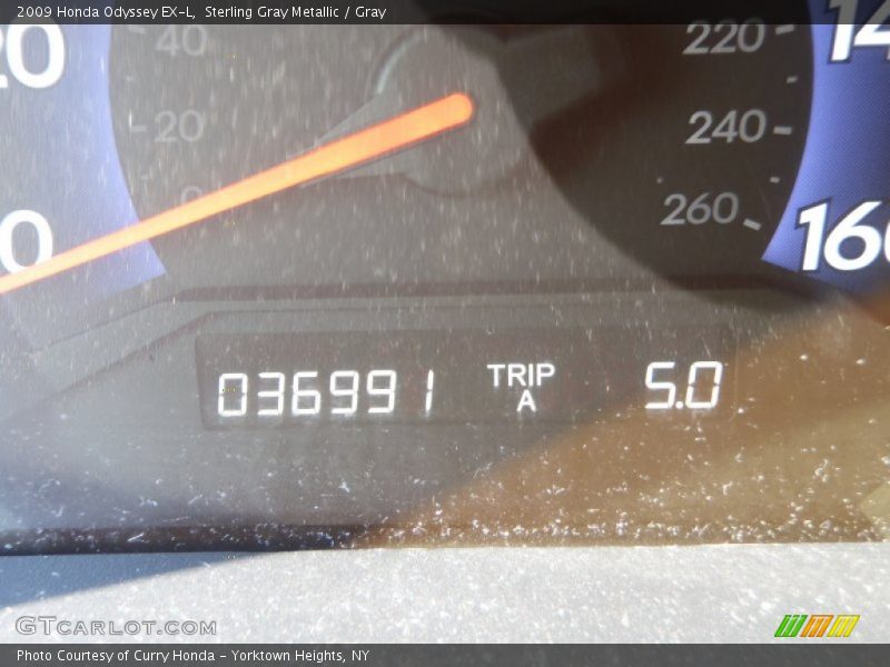 Sterling Gray Metallic / Gray 2009 Honda Odyssey EX-L