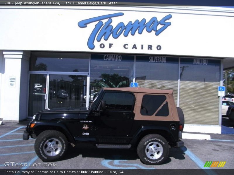 Black / Camel Beige/Dark Green 2002 Jeep Wrangler Sahara 4x4