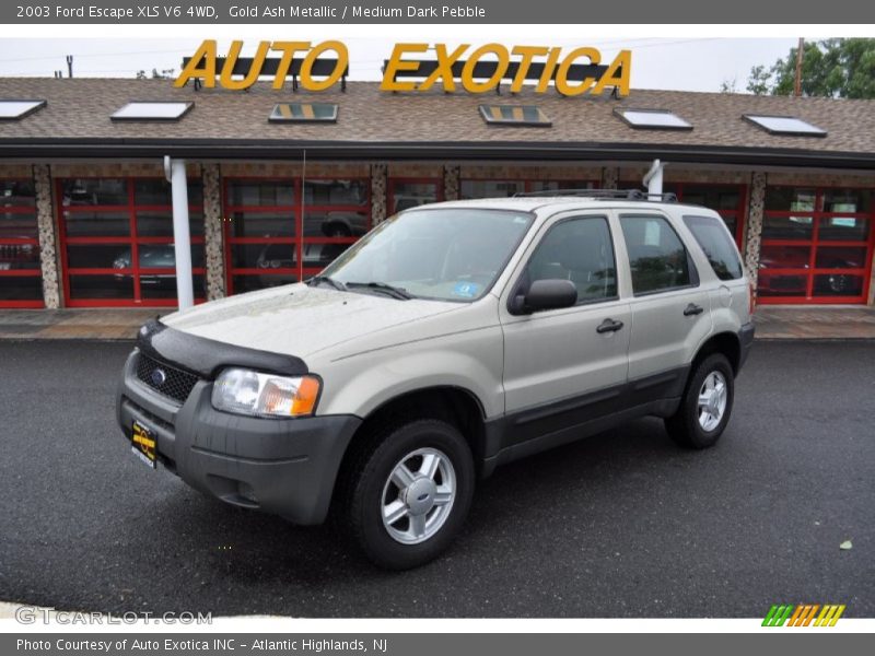 Gold Ash Metallic / Medium Dark Pebble 2003 Ford Escape XLS V6 4WD