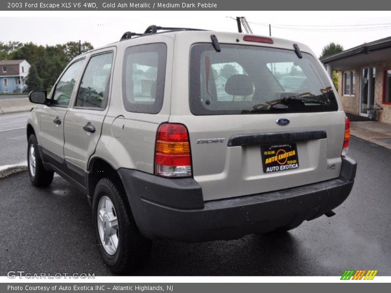 Gold Ash Metallic / Medium Dark Pebble 2003 Ford Escape XLS V6 4WD