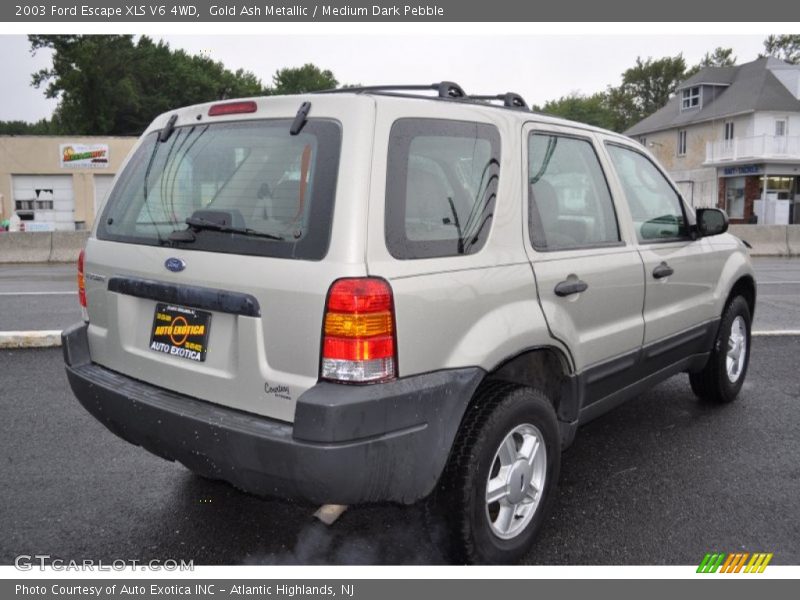 Gold Ash Metallic / Medium Dark Pebble 2003 Ford Escape XLS V6 4WD