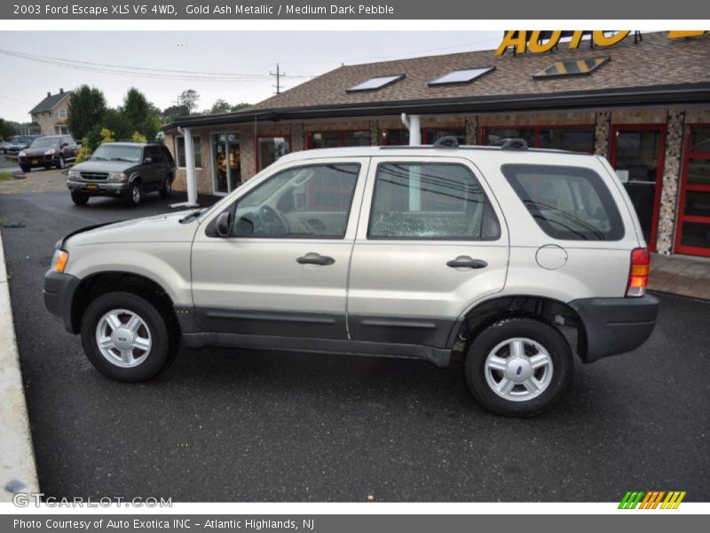 Gold Ash Metallic / Medium Dark Pebble 2003 Ford Escape XLS V6 4WD