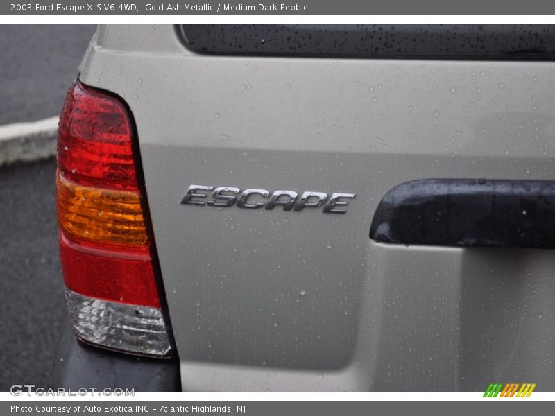 Gold Ash Metallic / Medium Dark Pebble 2003 Ford Escape XLS V6 4WD