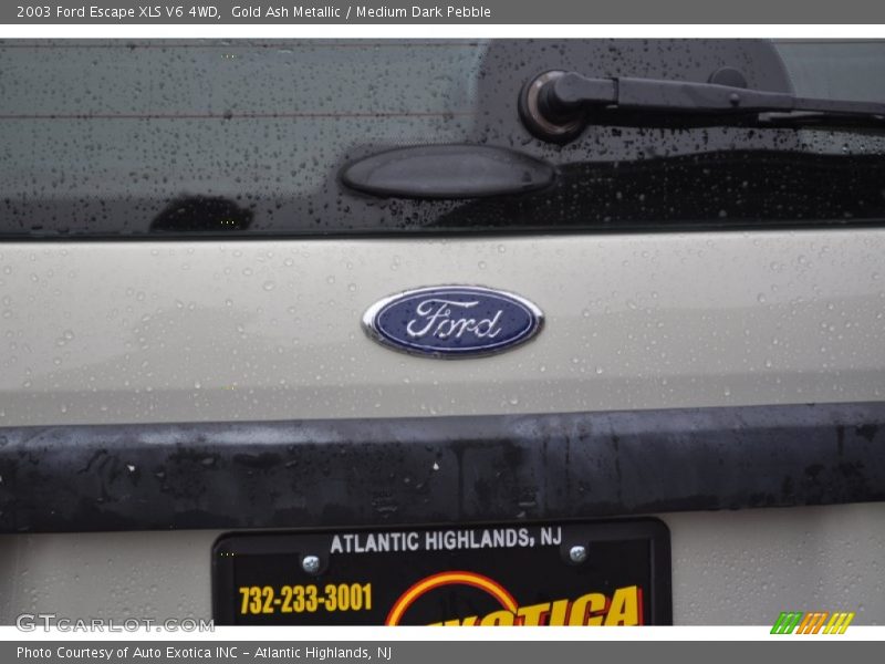 Gold Ash Metallic / Medium Dark Pebble 2003 Ford Escape XLS V6 4WD