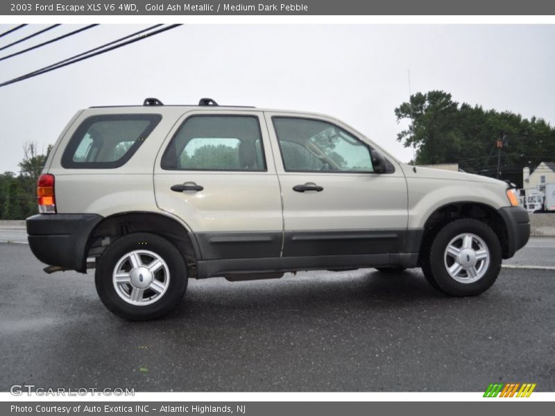  2003 Escape XLS V6 4WD Gold Ash Metallic