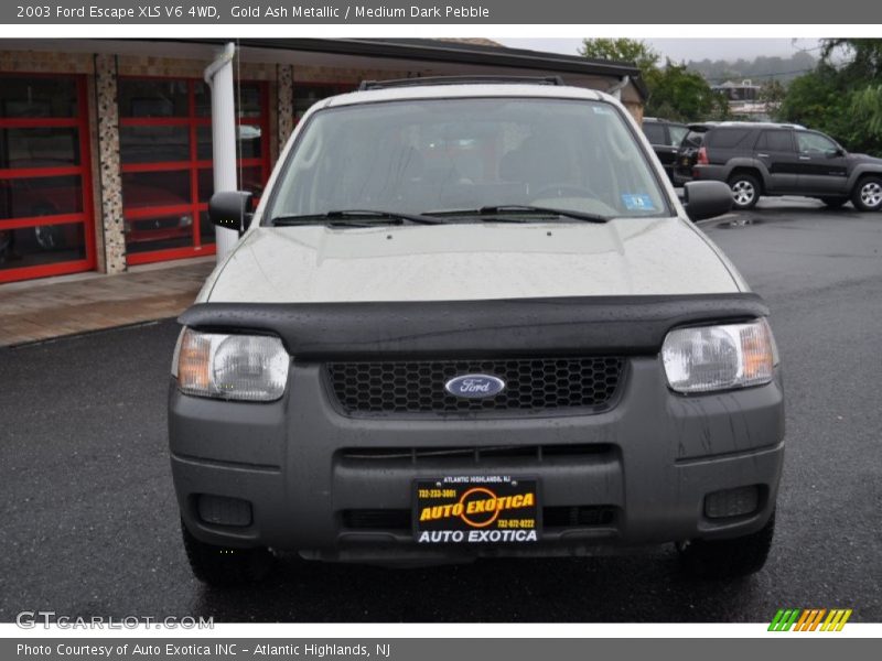 Gold Ash Metallic / Medium Dark Pebble 2003 Ford Escape XLS V6 4WD