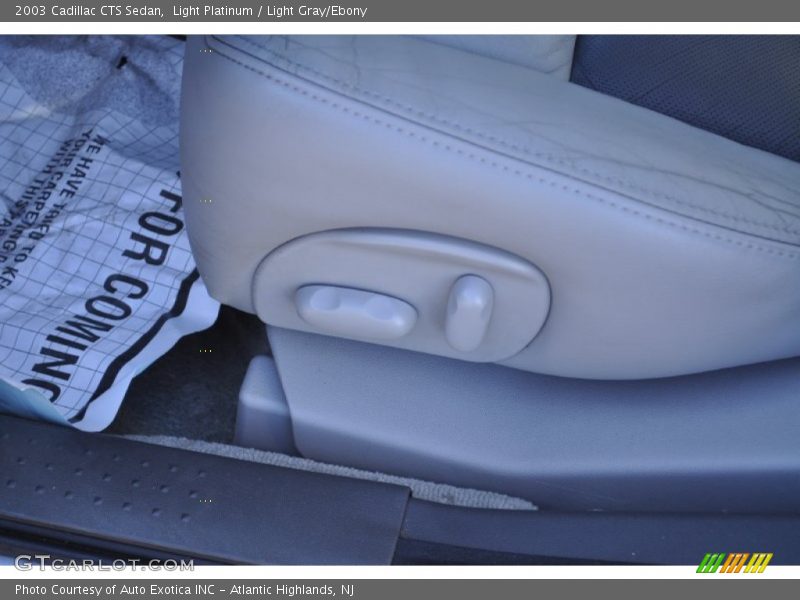 Light Platinum / Light Gray/Ebony 2003 Cadillac CTS Sedan