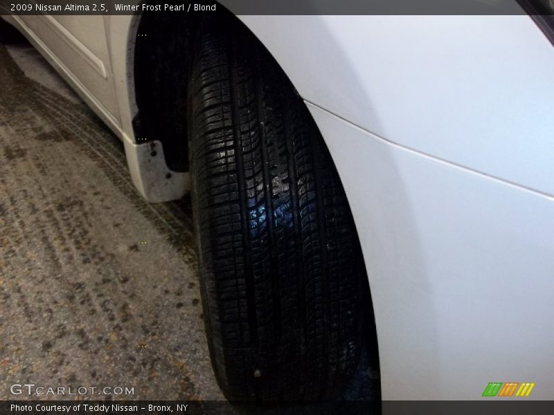 Winter Frost Pearl / Blond 2009 Nissan Altima 2.5