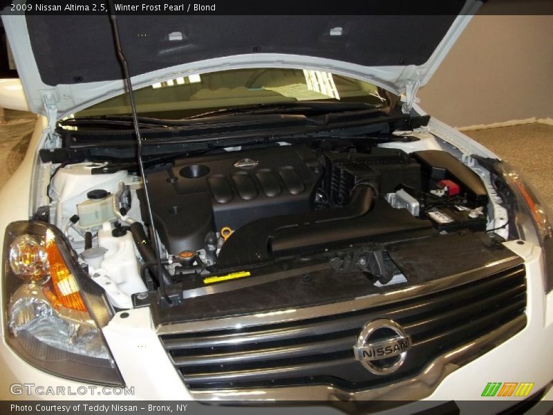 Winter Frost Pearl / Blond 2009 Nissan Altima 2.5