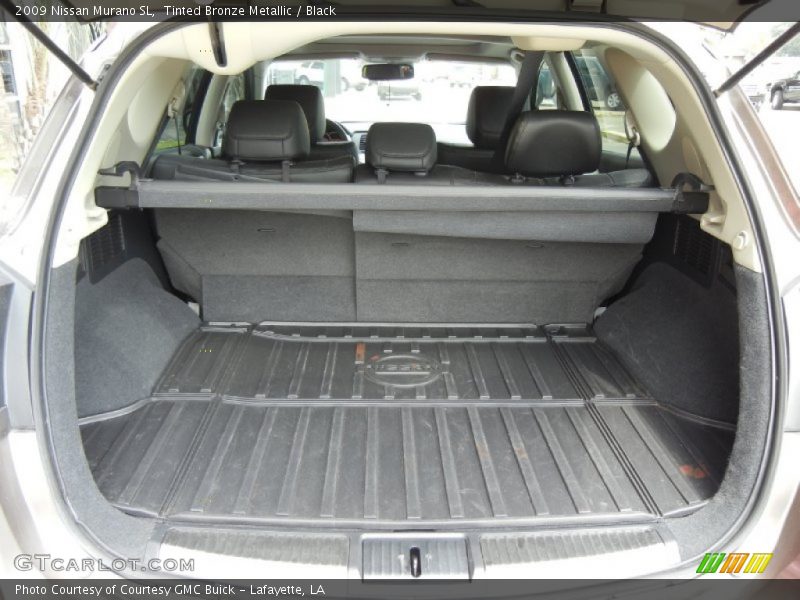 Tinted Bronze Metallic / Black 2009 Nissan Murano SL