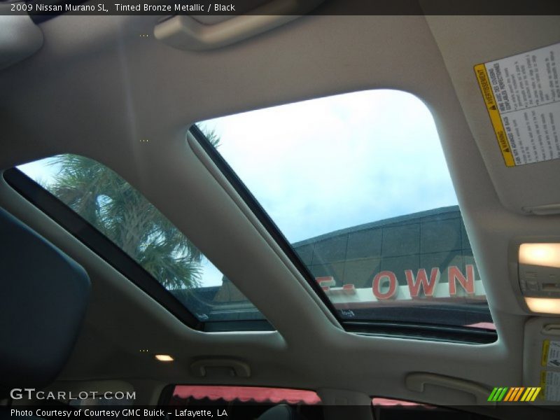 Tinted Bronze Metallic / Black 2009 Nissan Murano SL
