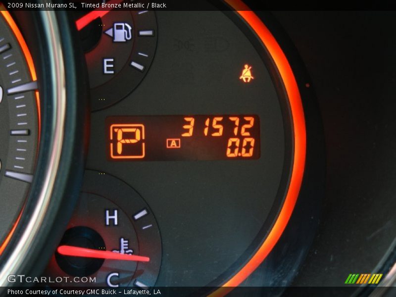 Tinted Bronze Metallic / Black 2009 Nissan Murano SL