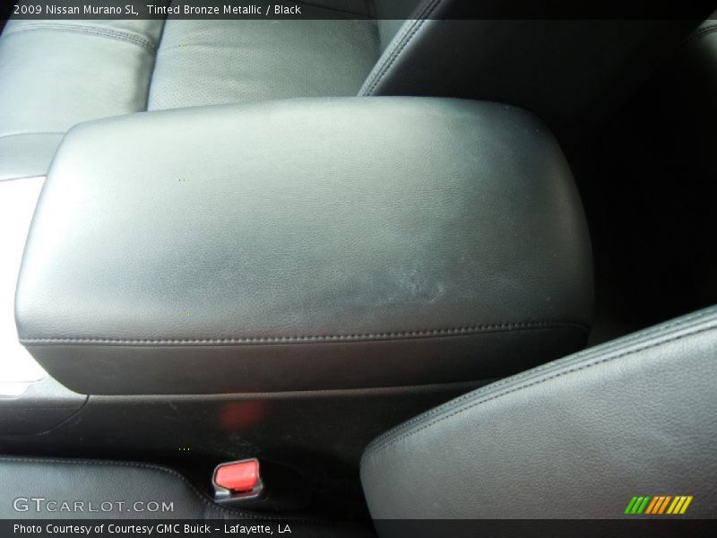 Tinted Bronze Metallic / Black 2009 Nissan Murano SL