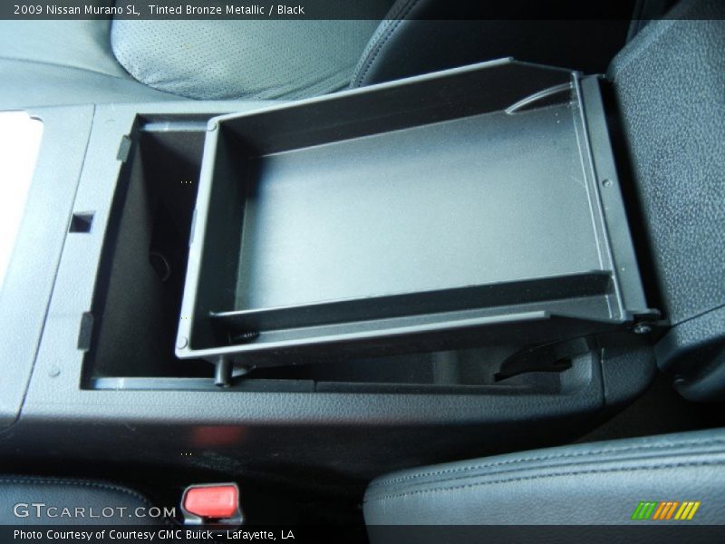Tinted Bronze Metallic / Black 2009 Nissan Murano SL
