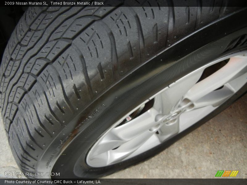 Tinted Bronze Metallic / Black 2009 Nissan Murano SL