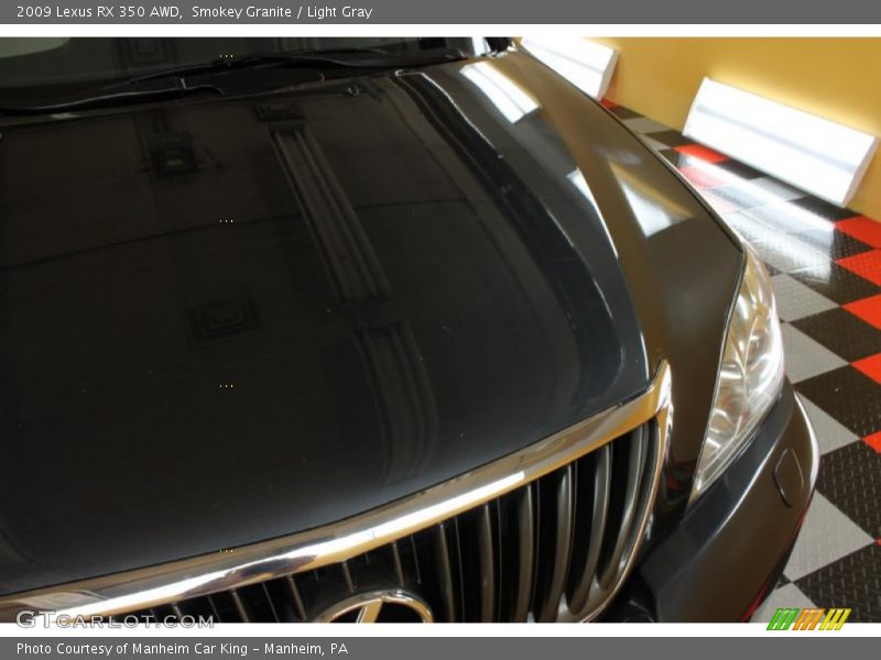 Smokey Granite / Light Gray 2009 Lexus RX 350 AWD