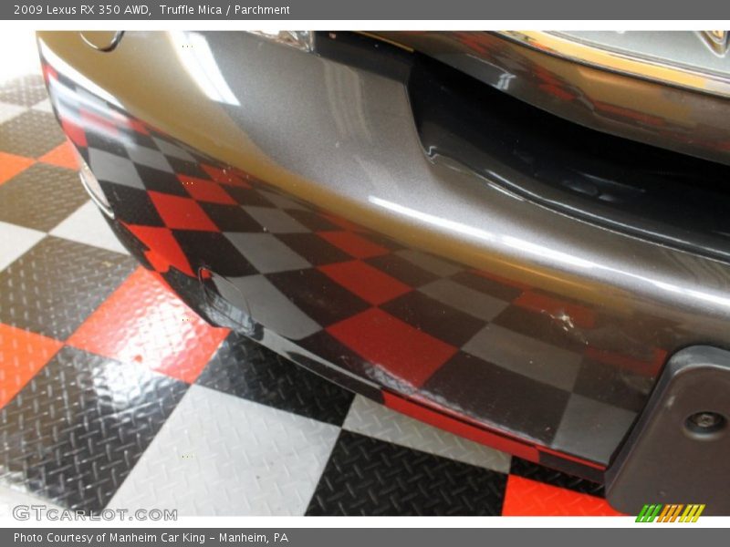 Truffle Mica / Parchment 2009 Lexus RX 350 AWD