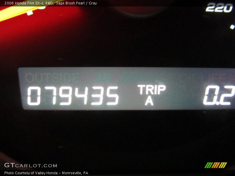 Sage Brush Pearl / Gray 2006 Honda Pilot EX-L 4WD