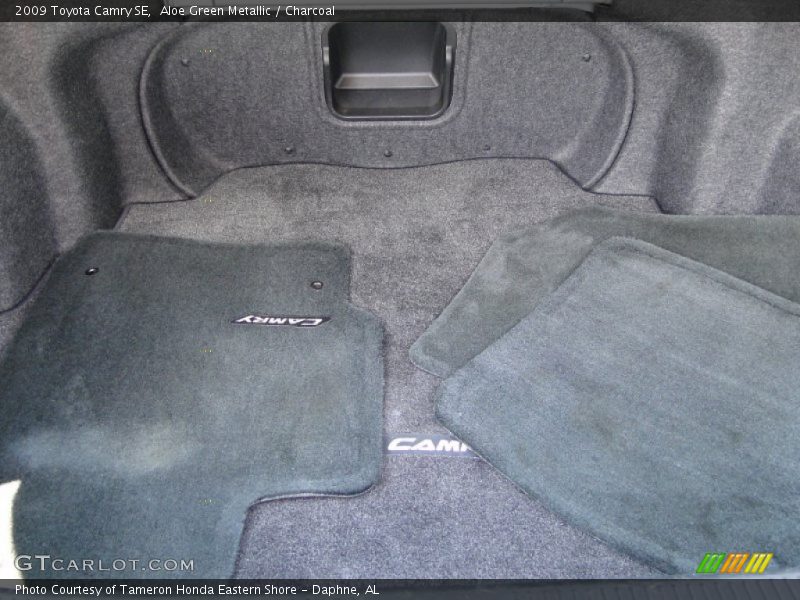 Aloe Green Metallic / Charcoal 2009 Toyota Camry SE