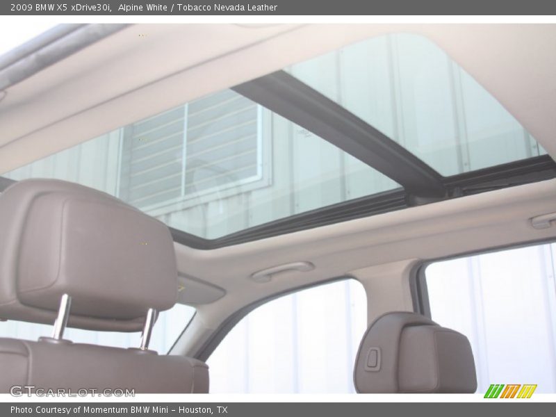 Alpine White / Tobacco Nevada Leather 2009 BMW X5 xDrive30i