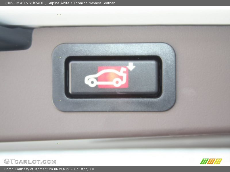 Alpine White / Tobacco Nevada Leather 2009 BMW X5 xDrive30i