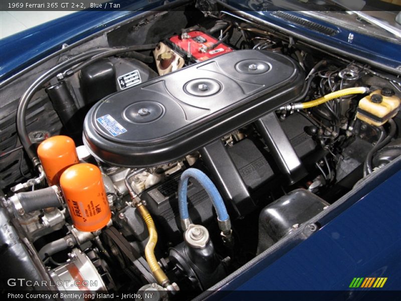 Blue / Tan 1969 Ferrari 365 GT 2+2