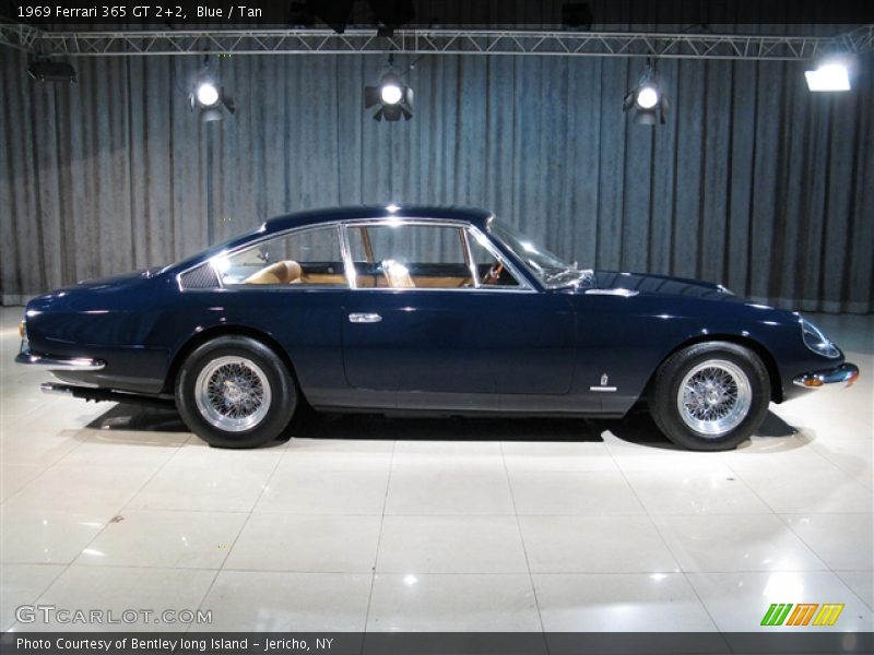 Blue / Tan 1969 Ferrari 365 GT 2+2