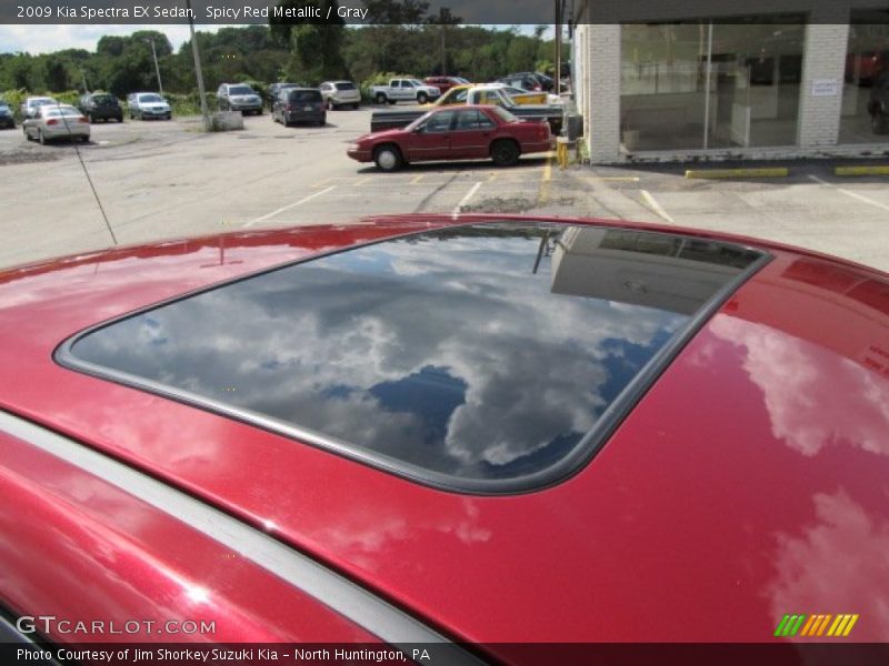 Spicy Red Metallic / Gray 2009 Kia Spectra EX Sedan
