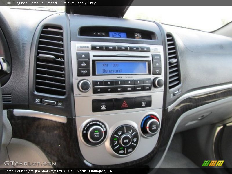 Platinum Sage / Gray 2007 Hyundai Santa Fe Limited