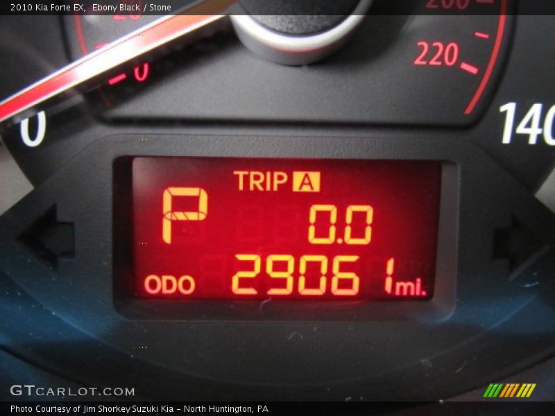Ebony Black / Stone 2010 Kia Forte EX