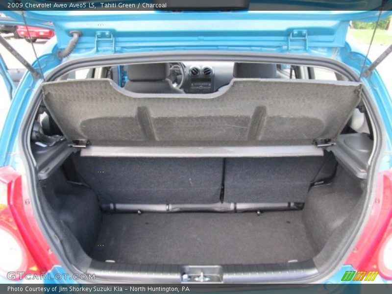 Tahiti Green / Charcoal 2009 Chevrolet Aveo Aveo5 LS