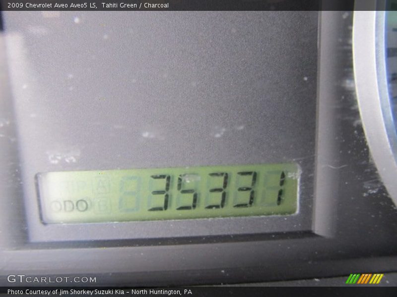 Tahiti Green / Charcoal 2009 Chevrolet Aveo Aveo5 LS