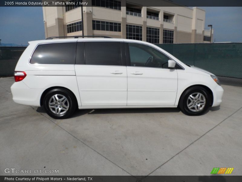 Taffeta White / Ivory 2005 Honda Odyssey EX